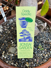 Load image into Gallery viewer, Oddly Specific Incense Bonsai Garden Scent Back of Box