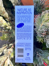 Load image into Gallery viewer, Oddly Specific Incense Coastal Forest Scent Back of Box