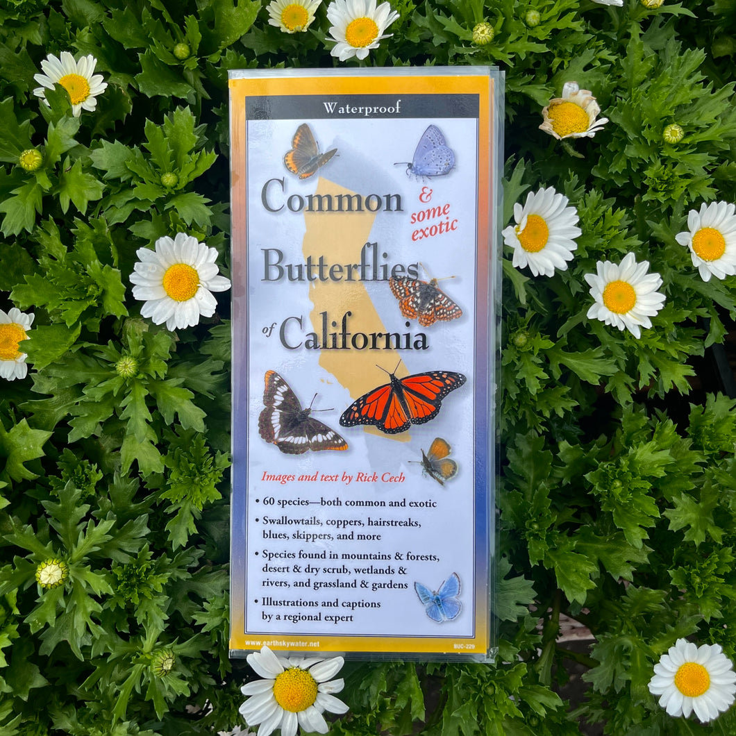 A foldable waterproof guidebook with the title 'Common (& Some Exotic) Butterflies of California' displayed on a background of flowers. The guidebook features images and information about different butterfly species.