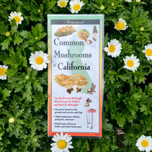 Load image into Gallery viewer, Foldable guide titled &#39;Common Mushrooms of California&#39; by Earth Sky + Water
