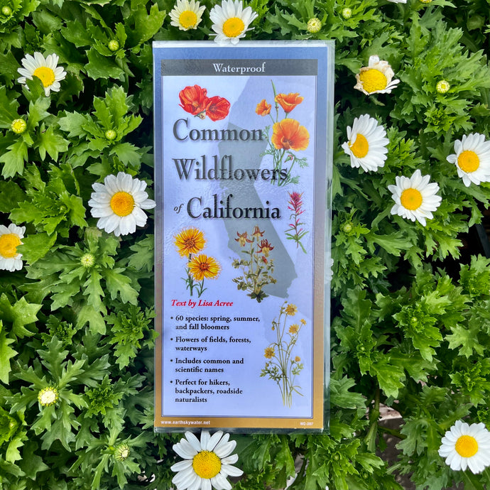 Foldable guide titled 'Common Wildflowers of California' made by Earth Sky + Water