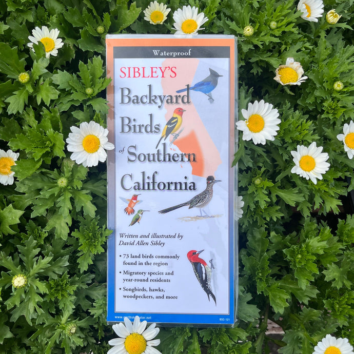 A foldable waterproof guidebook titled 'Sibley's Backyard Birds Southern California' with an image of a bird on the cover, placed upright on a bed of flowers.