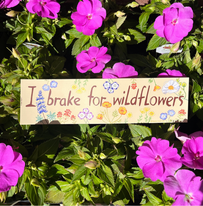 I Brake for Wildflowers Bumper Sticker - Tan - Merrihew's Sunset Gardens