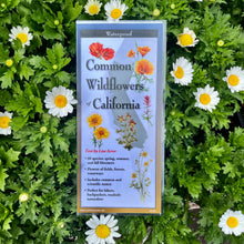 Load image into Gallery viewer, Common Wildflowers of California
