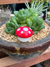 Load image into Gallery viewer, A lip balm designed to look like a mushroom cap placed on a plant pot.
