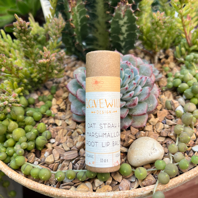 A tube of 'Lovewild Design Oat Straw + Marshmallow Root Lip Balm' placed on a surface with various plants and decorative stones
